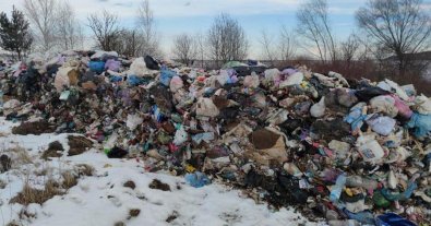 Фото – Львовская "кукушка": депутат оскандалился в сети "уборкой" 60 тонн мусора