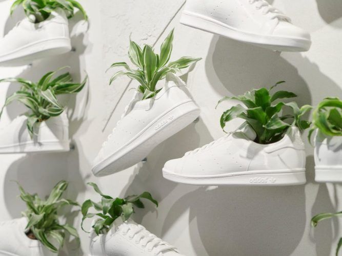 Adidas будет выпускать кроссовки из грибов