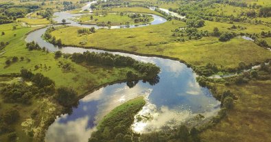 Фото – Экологический комитет обратился к Кабмину из-за передачи воды, леса и рыбы в МинАПК