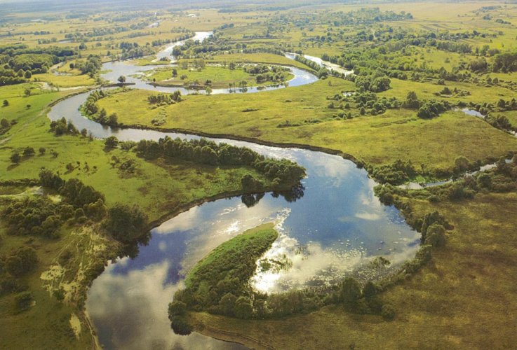 Экологический комитет обратился к Кабмину из-за передачи воды, леса и рыбы в МинАПК