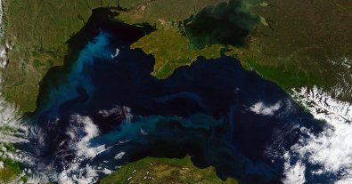 Фото – Портовики скрыли разлив нефти в Черном море