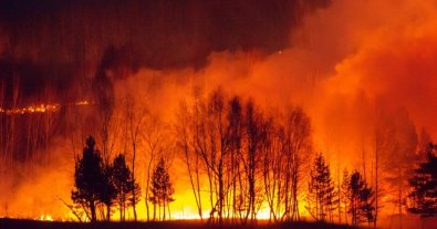 Фото – ТОП-5 крупнейших экологических катастроф 2020 года в Украине