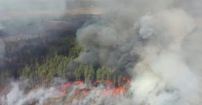 Фото – У Чорнобильській зоні є ризик повторення масштабних пожеж 2020 року, — Стрілець