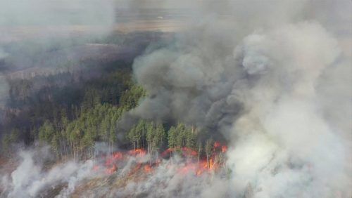 В Чернобыльской зоне есть риск повторения масштабных пожаров 2020 года, — Стрелец