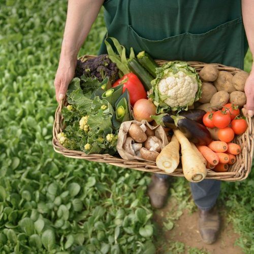 Эксперт пояснила, почему украинские агрохолдинги переходят на органическое производство