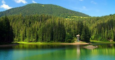 Фото – Агентства водних і лісових ресурсів не передали Мінагро