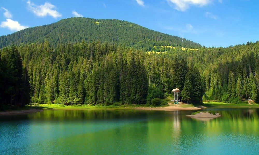 Фото – Агентства водних і лісових ресурсів не передали Мінагро