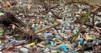 Фото – На Закарпатье образовался гигантский "остров" из мусора. Фотофакт
