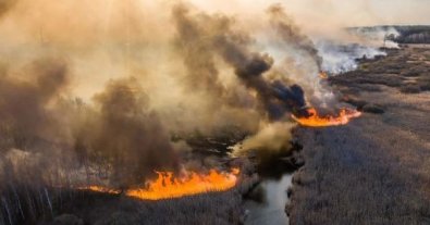 Фото – Щоб радіоактивна пилова буря дійшла до Києва, потрібен смерч, який буде видно з Берліна, – радіобіологиня