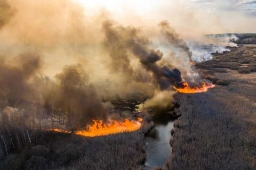 Щоб радіоактивна пилова буря дійшла до Києва, потрібен смерч, який буде видно з Берліна, – радіобіологиня