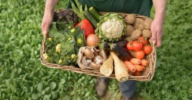 Фото – Украина входит в первую тройку экспортеров органической продукции в Европу, – министр АПК