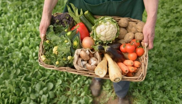 Украина входит в первую тройку экспортеров органической продукции в Европу, – министр АПК