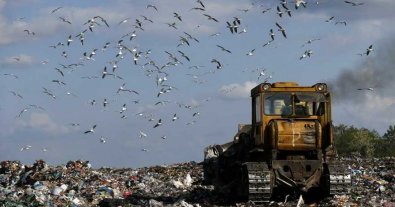 Фото – На сміттєвому полігоні під Києвом за три роки не встановили обіцяного обладнання для переробки фільтрату