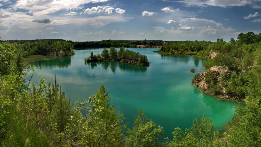 В Украине создадут новый национальный парк "Пуща Радзивилла"