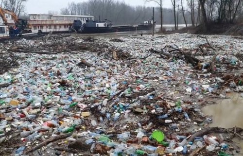 Тонни сміття із Закарпаття віднесло річкою Тисою в Угорщину. Фото та відео