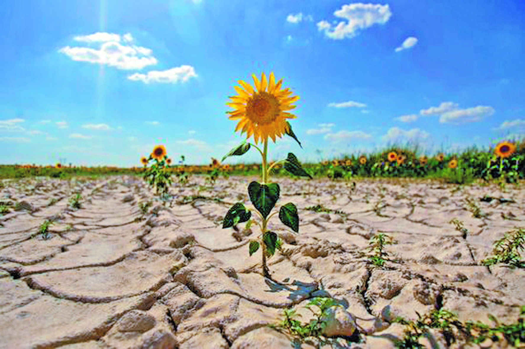 Photo – Climate change could increase annual headline inflation by 1.18%
