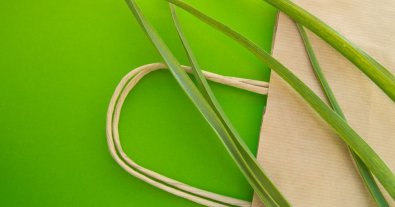 Photo – The advantages of paper recycling