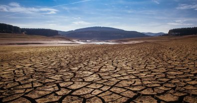 Фото – Південь і схід України потерпають від нестачі води, – кліматологиня