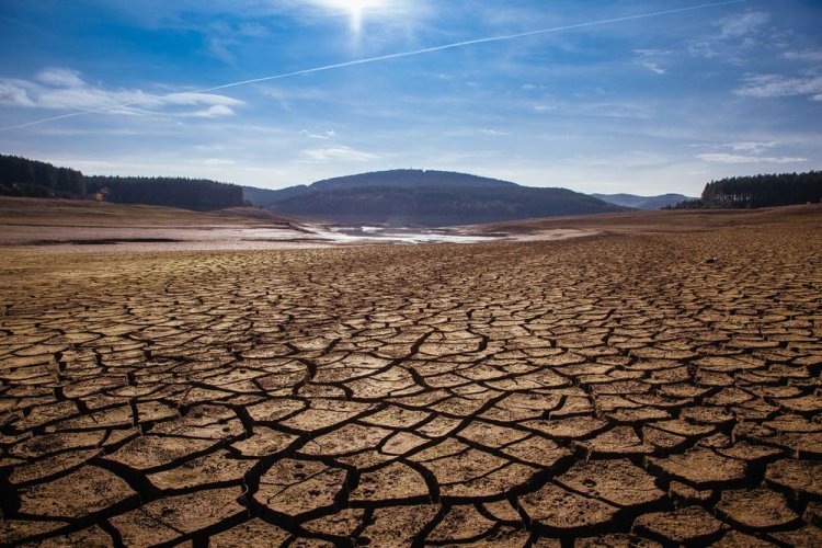 Юг и восток Украины страдают от недостатка воды, – климатолог