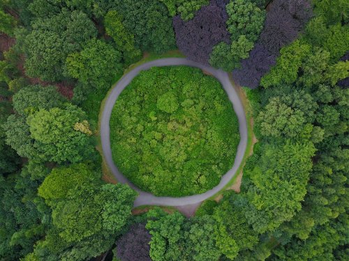 В лісах Україні хочуть збудувати 500 кілометрів доріг