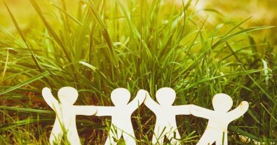 Photo – Recovery strategies are meaningless without roadmaps, experts and technologies – PAEW