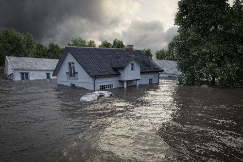 Due to climate change, 1 million hectares of southern Ukraine could be submerged