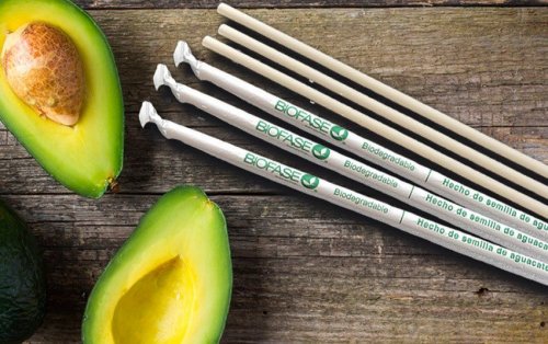 У Мексиці з кісточок авокадо виготовляють біопластик: процес виробництва зафільмували