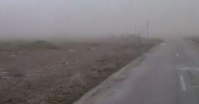 Фото – На розораних землях заповідника в Херсонській області пронеслися піщані бурі. Відео