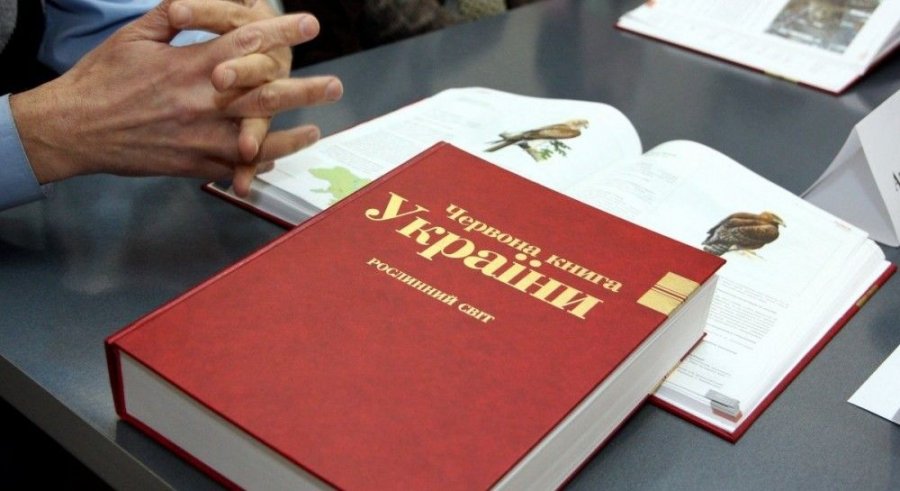 Растения Красной книги Украины: какие причины исчезновения и как защитить