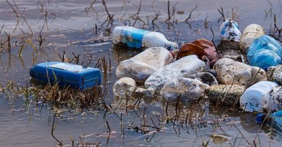 Фото – На Закарпатті виявили 16 несанкціонованих сміттєзвалищ уздовж річок