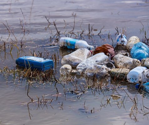 На Закарпатті виявили 16 несанкціонованих сміттєзвалищ уздовж річок