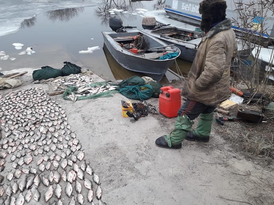 Фото – На Полтавщині розкрили браконьєрський рибацький картель: всі деталі