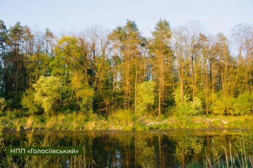 В історії із забудовою Голосіївського парку в Києві поставили крапку