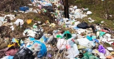 Фото – У селищі під Мелітополем утворилося стихійне звалище. Фото