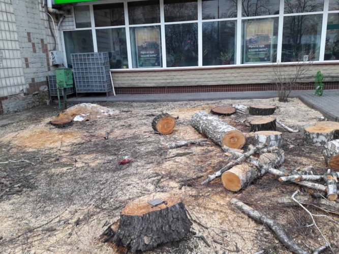 У Броварах екоактивісти скаржаться на нещадне знищення дерев