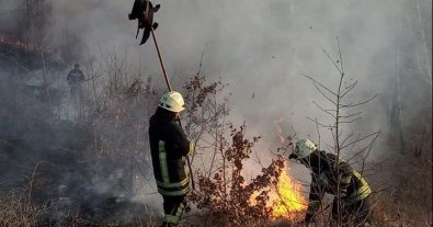 Фото – Пожежа на Київщині: активістка показала наслідки підпалів сухостою. Відео