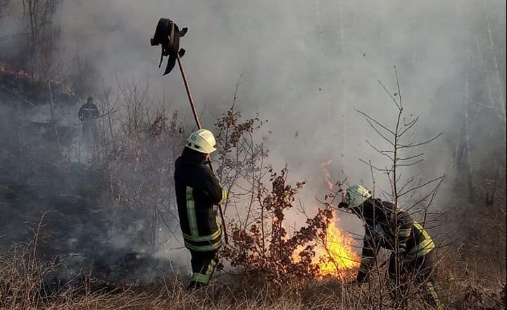Пожар в Киевской области: активистка показала последствия поджогов сухостоя. Видео