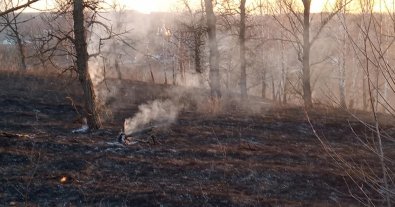 Фото – Активістка назвала причину постійного смогу в столичних Позняках й Осокорках