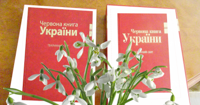 Фото – Червона книга України поповнилася новими рослинами
