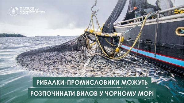 Рибалкам-промисловикам дозволили вилов у Чорному морі