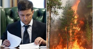Фото – Зеленський підписав закон про посилення захисту лісів і запобігання пожежам