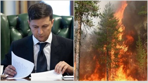 Зеленский подписал закон об усилении защиты лесов и предотвращении пожаров