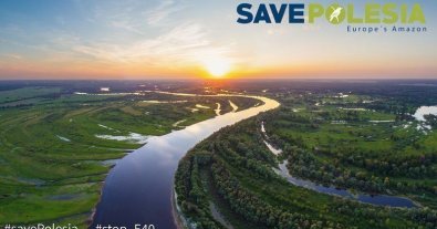 Фото – Екологи закликали українців підписати петицію за збереження екосистеми Полісся