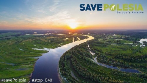 Экологи призвали украинцев подписать петицию за сохранение экосистемы Полесья