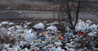 Фото – Лісосмугу в передмісті Дніпра місцеві жителі перетворили на звалище