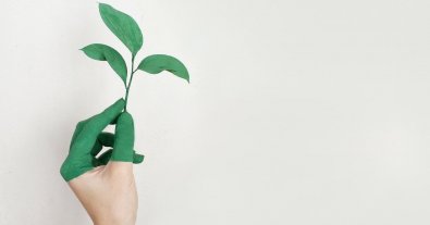 Фото – Міндовкілля опублікувало Стратегію екологічної безпеки та адаптації до зміни клімату до 2030 року