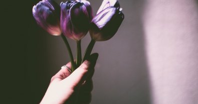 Фото – Живі квіти залишають після себе вуглецевий слід: українцям розповіли про альтернативу