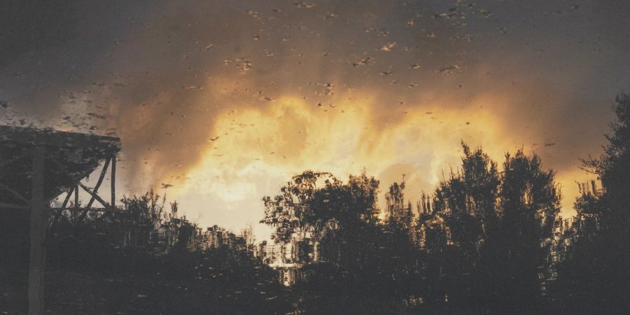В Донецкой области вспыхнул лесной пожар. Видео