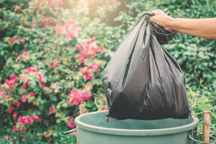 Шесть опасных отходов, которые нельзя выбрасывать в общий мусорник