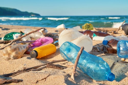 Plastic on the coast of the Mediterranean threatens the tourism business, - Worldcrunch